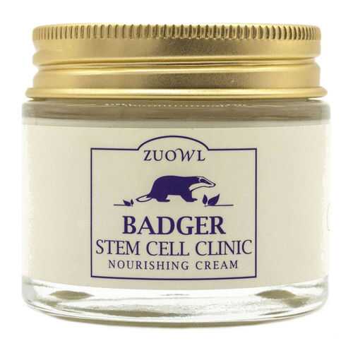 Крем для лица JUNO Badger Stem Cell Clinic Nourishing Cream 80 г в Тианде